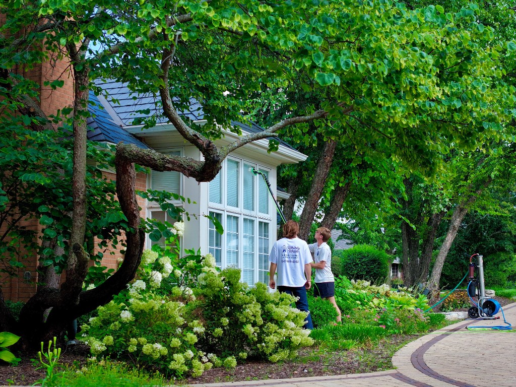 Revenue Growth in 6 Months